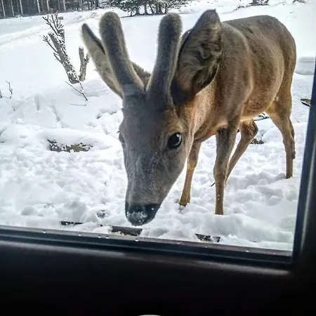 Przyjacielowka Miejsce Ciszy Czarna Gora Sienna Janowa Gora * Stronie Slaskie