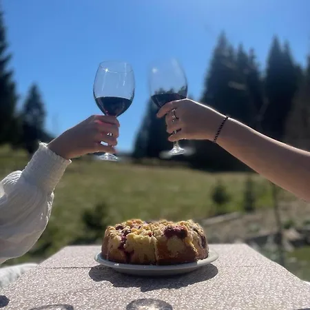 Apartment Przyjacielowka Miejsce Ciszy Czarna Gora Sienna Janowa Gora *