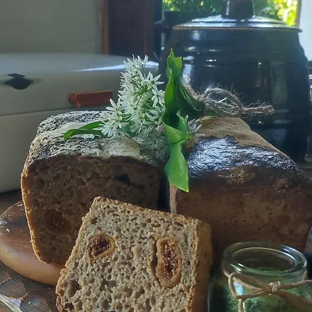 Apartment Przyjacielowka Miejsce Ciszy Czarna Gora Sienna Janowa Gora *