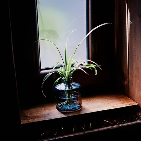 Przyjacielowka Miejsce Ciszy Czarna Gora Sienna Janowa Gora