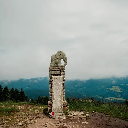 Przyjacielowka Miejsce Ciszy Czarna Gora Sienna Janowa Gora * Stronie Slaskie