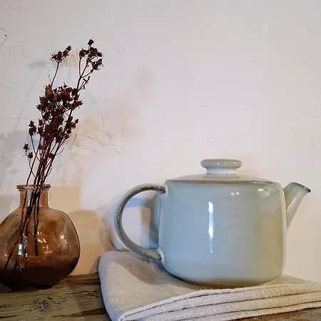 Przyjacielowka Miejsce Ciszy Czarna Gora Sienna Janowa Gora Apartment *