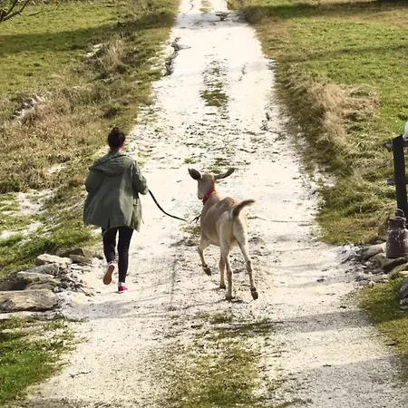 Przyjacielowka Miejsce Ciszy Czarna Gora Sienna Janowa Gora *