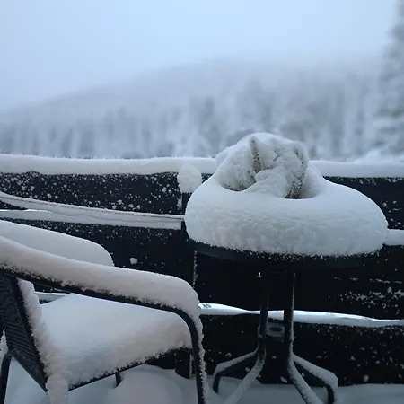 Przyjacielowka Miejsce Ciszy Czarna Gora Sienna Janowa Gora Apartment Stronie Slaskie