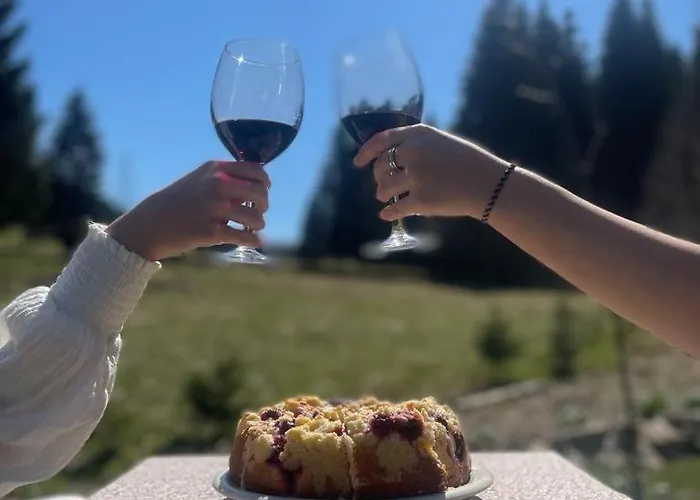 Апартаменты Przyjacielowka Miejsce Ciszy Czarna Gora Sienna Janowa Gora *