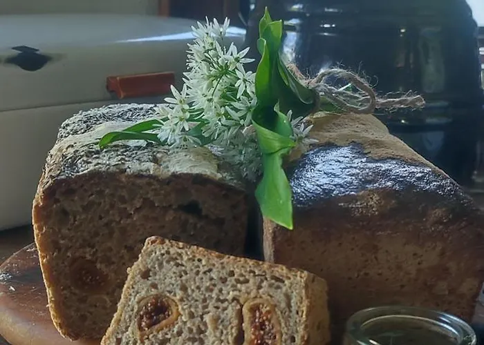 Апартаменты Przyjacielowka Miejsce Ciszy Czarna Gora Sienna Janowa Gora *