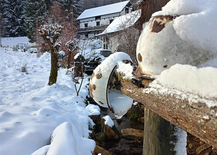 Przyjacielowka Miejsce Ciszy Czarna Gora Sienna Janowa Gora *