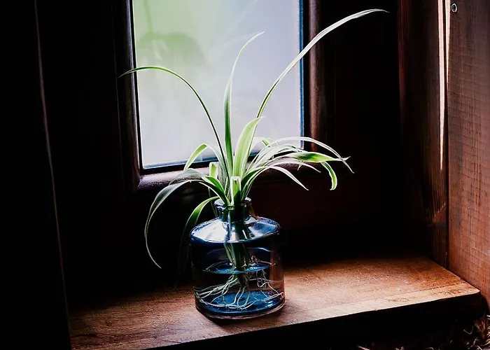 Przyjacielowka Miejsce Ciszy Czarna Gora Sienna Janowa Gora