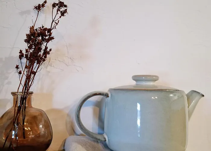 Przyjacielowka Miejsce Ciszy Czarna Gora Sienna Janowa Gora Апартаменты *