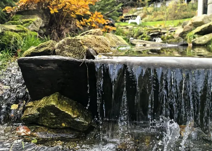 Апартаменты Przyjacielowka Miejsce Ciszy Czarna Gora Sienna Janowa Gora Строне-Слёнске