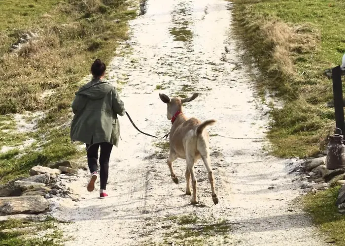 Przyjacielowka Miejsce Ciszy Czarna Gora Sienna Janowa Gora *