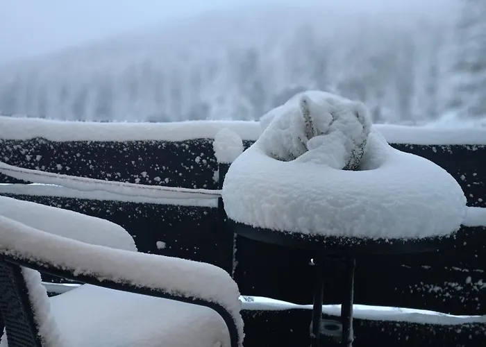 Przyjacielowka Miejsce Ciszy Czarna Gora Sienna Janowa Gora Апартаменты Строне-Слёнске